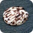 Brosche